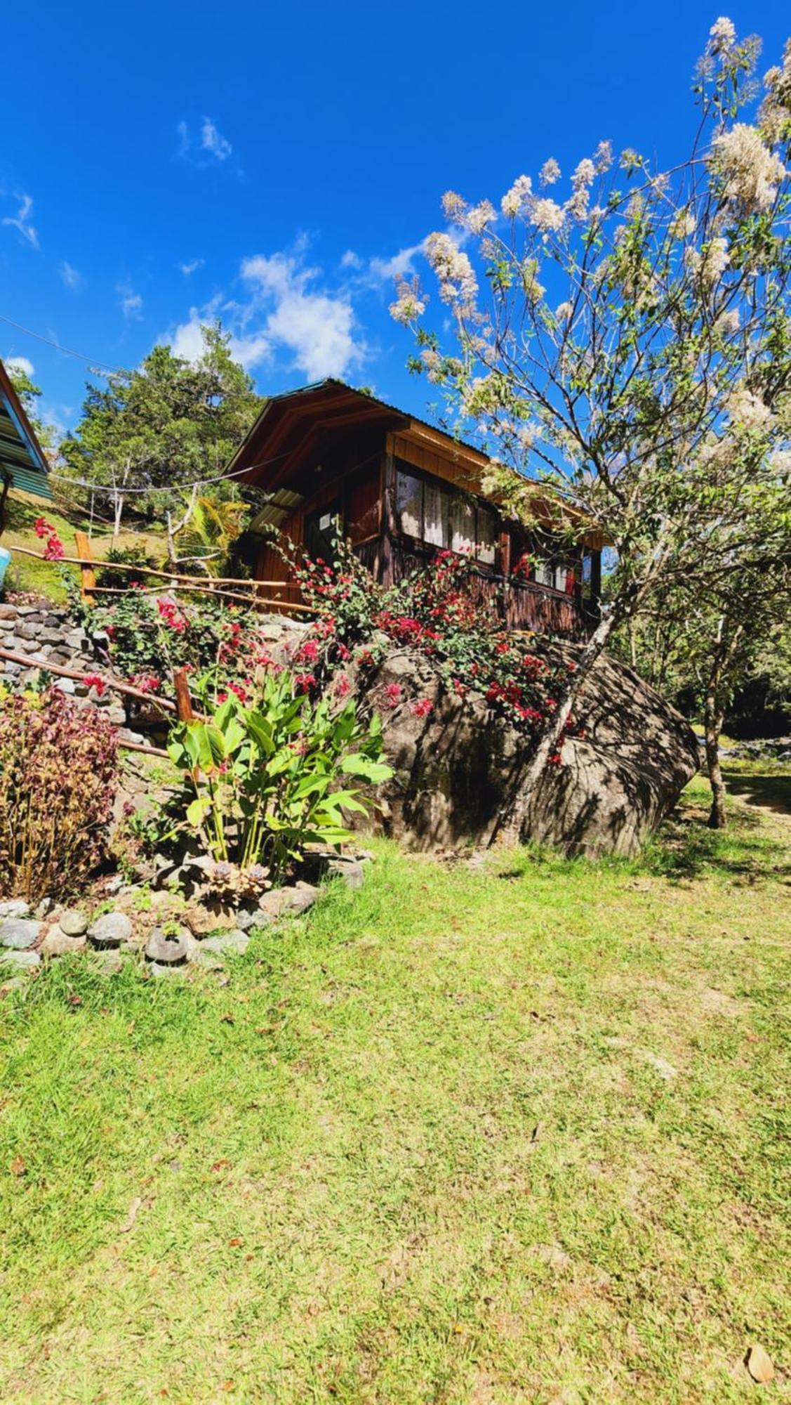 Hospedajes Richie Eco Camp Providencia Bagian luar foto