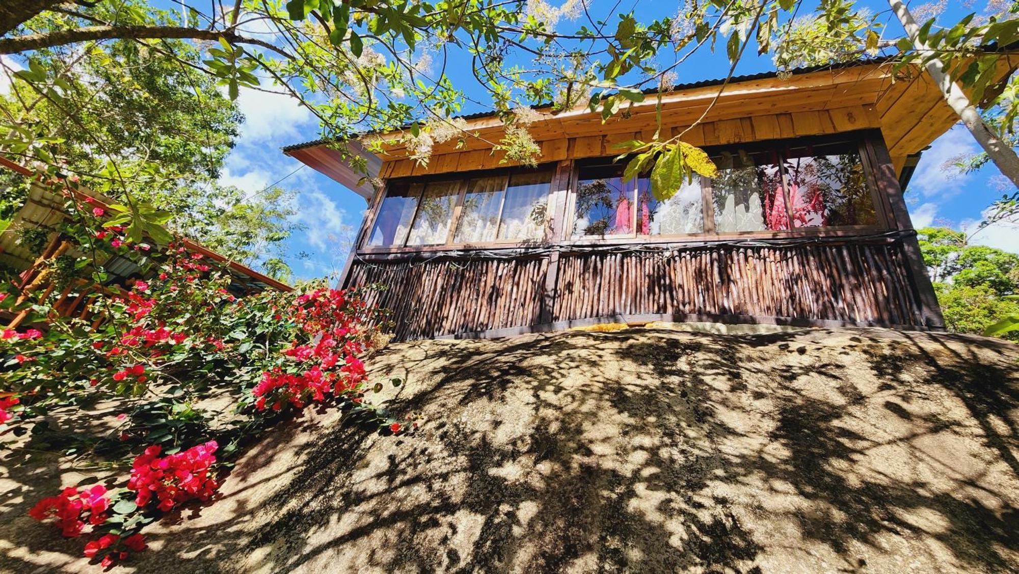 Hospedajes Richie Eco Camp Providencia Bagian luar foto