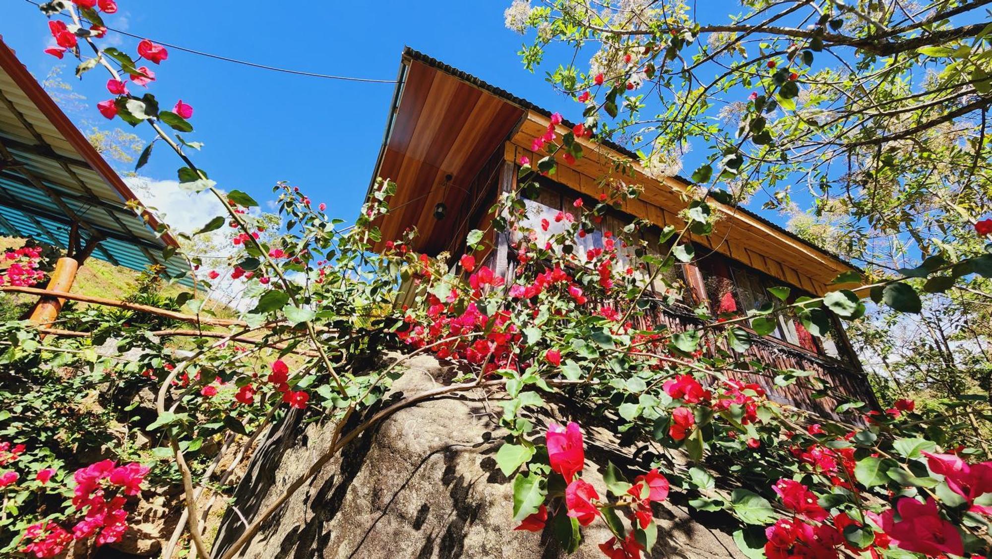 Hospedajes Richie Eco Camp Providencia Bagian luar foto
